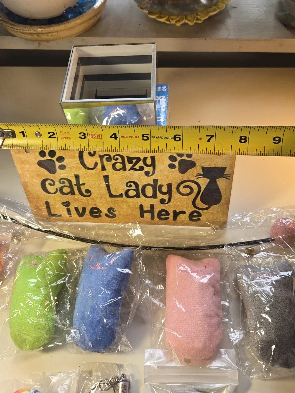 'Crazy Cat Lady Lives Here' Plaque and Assorted Cat Toys Bundle